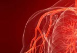 angiologia-em-embu-das-artes-1441056650