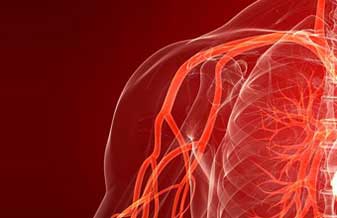 Centro de Especialidades Embu das Artes - Foto 1