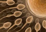 clinicas-de-fertilizacao-humana-em-embu-das-artes-1441057774