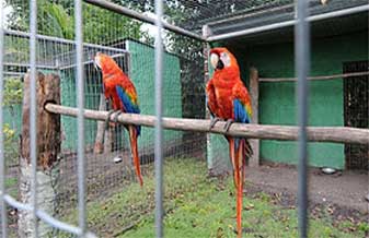 Adriana do Carmo - Foto 1