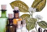farmacias-de-homeopatia-em-embu-das-artes-1441061762