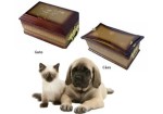 funeraria-animal-em-embu-das-artes-1440954122