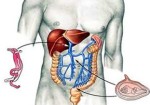 gastroenterologia-em-embu-das-artes-1441062162