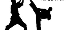 karate-em-embu-das-artes-1441039882