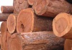 madeiras-e-madeireiras-em-embu-das-artes-1440963451