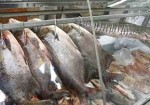 peixaria-em-embu-das-artes-1440943813
