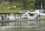 pesqueiros-em-embu-das-artes-1441025871