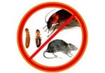 controle-de-pragas-em-embu-das-artes-1441114144