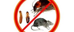 controle-de-pragas-em-embu-das-artes-1441114144