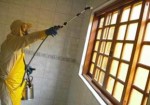 dedetizadora-em-embu-das-artes-1441114764