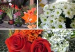 floricultura-em-embu-das-artes-1441110359