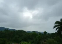 tempo em Embu das Artes