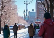ações da vigilância sanitária