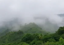 tempo úmido em Embu das Artes