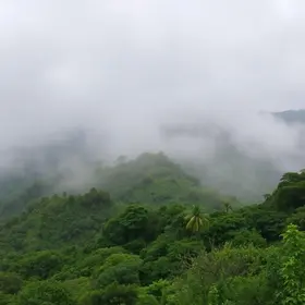 tempo úmido em Embu das Artes