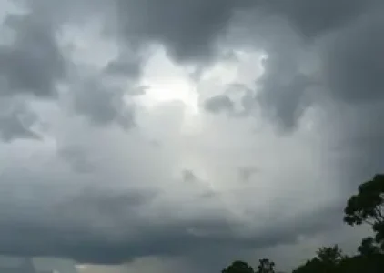 Últimas noticias de Embu Das Artes