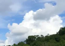 Previsão do Tempo em Embu das Artes