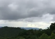 previsão do tempo em Embu das Artes