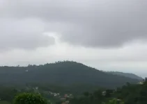 Embu das Artes