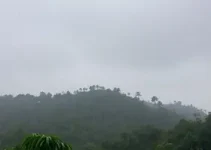 chuvas em Embu das Artes