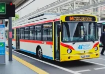 horários do transporte público municipal