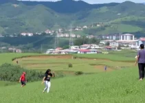 Revela Sudoeste 2026