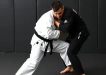 aulas de jiu-jitsu a crianças e adultos