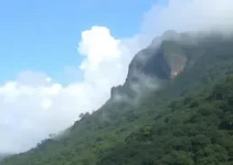 previsão do tempo