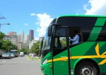 ônibus gratuitos