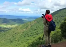 SP Repórter